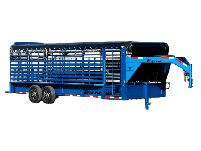 Gooseneck Cattle