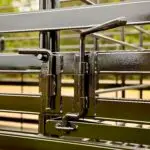 Texline 6’8″x 24′ Cattle Trailer