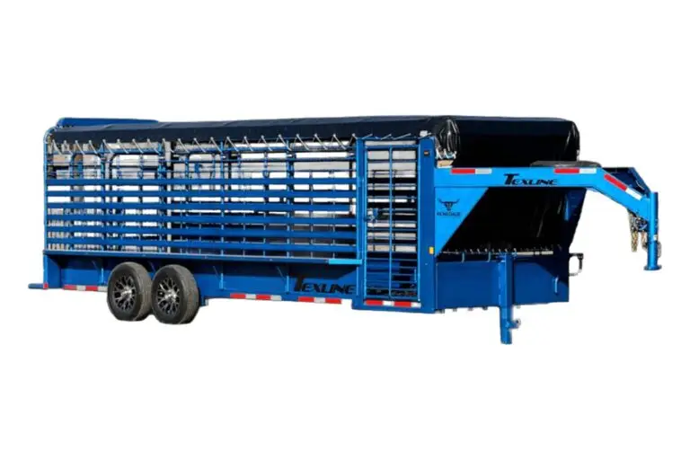 Gooseneck Cattle